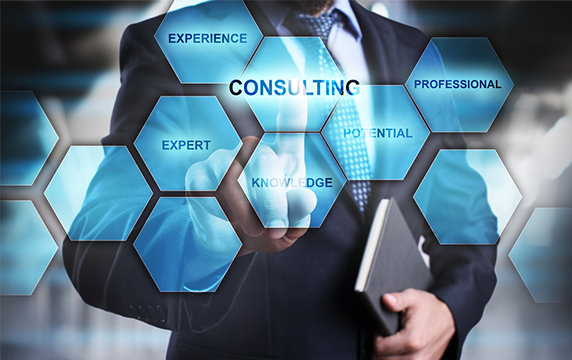 IT Consulting